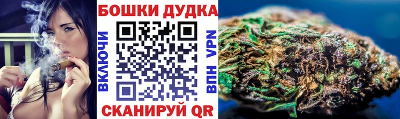 Магазины продажи наркотиков Каргополь Альфа ПВП  COCAIN  Меф мяу мяу  KRAKEN ONION  ГАШ 