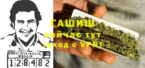 мет Алексин