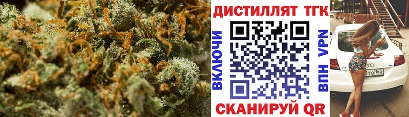 продажа наркотиков  Каргополь  Дистиллят ТГК Wax 