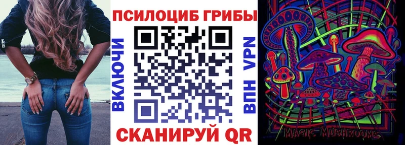 hydra   Каргополь  Псилоцибиновые грибы мицелий 