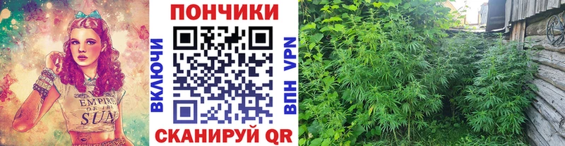 Канабис конопля  закладки  Каргополь 